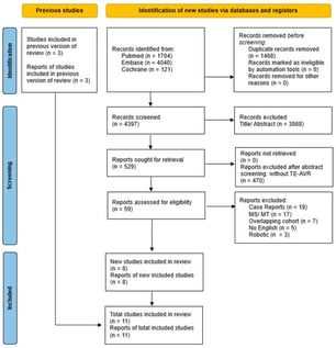 PRISMA flow chart [10].
