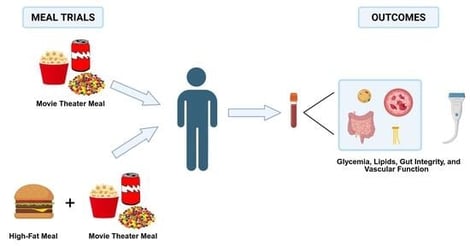 Study Design. Participants completed two meal trials in a random order: the Fasting Trial and the Fed Trial. At the Fasting Trial, serum markers and FMD were measured prior to movie theater meal consumption (BL). Additional blood samples were taken at 0.5, 1, 2, 3, and 4 h, and FMD at 2 and 4 h after the first bite. At the Fed Trial, serum markers and FMD were measured prior to consumption of a high fat meal (BL-0). After meal consumption, participants were allowed to leave for 3 h with instructions to remain sedentary and only consume water. Upon return, the Fed Trial procedures were identical to the Fasting Trial, starting with BL. Abbreviations: BL—baseline; FMD—flow-mediated dilation. Created in BioRender. Keirns, B. (2025) https://BioRender.com/z86j451 accessed on 15 February 2026.