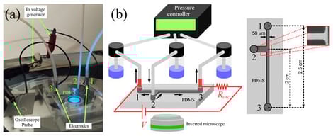 Photograph (a) and schematic representation (b) of the experimental setup (not to scale). In (b), the schematic of the microfluidic channel with dimensions is shown, along with an experimental image of the channel junction.