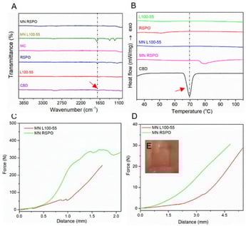 (A) FTIR and (B) DSC graph of all the components and MNs. (C) Compression test, (D) insertion test, and (E) the mucosa after insertion showing the perforation sites.