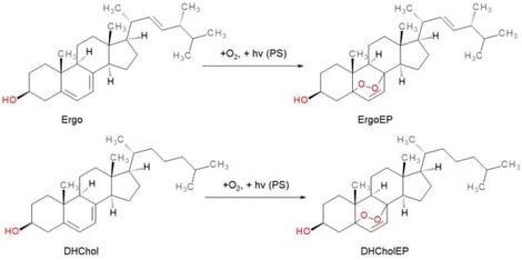 Synthesis of sterol EPs. Ergosterol (Ergo) and dehydrocholesterol (DHChol) were subjected to visible light irradiation (hv) in the presence of the photosensitizer (PS) methylene blue and oxygen, yielding corresponding endoperoxides ErgoEP and DHCholEP, respectively.