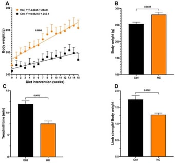 Effect of diet on body weight and functional test performance in female rats. (A) Body weight recorded weekly during the induction period with the HC diet. (B) Body weight at 15 weeks of diet. (C) Treadmill test at 15 weeks of diet and (D) Handgrip strength test at 15 weeks of diet. Data show mean ± SEM. Ctrl (n = 8) and HC diet (n = 16).