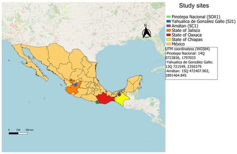 Map showing the areas where soil samples were collected in corn (SC1, SOX1) and coffee (SC2) cultivation sites. The dots indicate the municipalities where sampling was conducted.