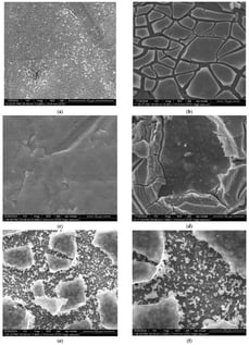 SEM images obtained on TiO2 nanotube-based samples. (a) TiO2 nanotubes grown on titanium substrate. (b) MoO2 electrodeposited on TiO2 nanotubes grown on titanium substrate. (c) MoO2 electrodeposited on TiO2 nanotubes grown on titanium substrate, followed by immersion in Ni solution and exposure to NH3 vapors. (d) MoO2 electrodeposited on TiO2 nanotubes grown on titanium substrate, followed by immersion in Ni solution, exposure to NH3 vapors and thermal treatment in air atmosphere (E7). (e,f) MoO2 electrodeposited on TiO2 nanotubes grown on titanium substrate, followed by immersion in Ni solution, exposure to NH3 vapors and thermal treatment under vacuum (E8).