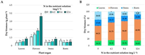 Dry biomass (g plant−1) in leaves, flowers, stems, and roots (A), and dry biomass partitioning (%) among plant organs (B) of Mexican marigold (Tagetes erecta L.) plants treated with different nitrogen concentrations in the nutrient solution during the flowering stage. Means ± SD followed by different letters within each organ indicate statistically significant differences among nitrogen treatments (Tukey, p ≤ 0.05).
