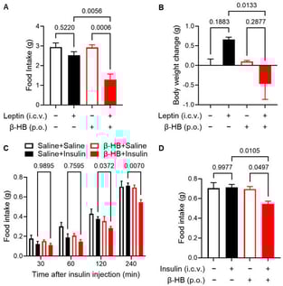 (A,B) Central leptin sensitivity test in HFD-induced obese mice (n = 4/group, fed an HFD for 3 months). Mice received oral administration of β-HB (300 mg/kg body weight) or saline once daily for three consecutive days. The same animals then received ICV injections of saline followed by leptin (0.5 µg/mouse). (A) Cumulative food intake and (B) body weight change during the 24 h period after saline or leptin ICV injection. (C,D) Central insulin sensitivity (refeeding) test after oral β-HB administration in HFD-induced obese mice (n = 4–7/group, fed an HFD for 3 months) that received oral β-HB (300 mg/kg body weight) or saline once daily for three doses. Two hours after the third oral administration, insulin (1.5 mU/mouse) or saline was administered via ICV injection at the onset of refeeding. (C) Time course of cumulative food intake after refeeding and (D) cumulative food intake at 240 min. Statistical analyses were performed using one-way ANOVA followed by Tukey’s multiple comparisons test in (A,B,D), and two-way ANOVA followed by Tukey’s multiple comparisons test in (C). Exact p-values are shown in the figures. Data are presented as mean ± SEM.