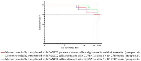 Effect of S. pyogenes GURSA1 treatment on overall survival of C57BL/6 mice orthotopically transplanted with pancreatic cancer.
