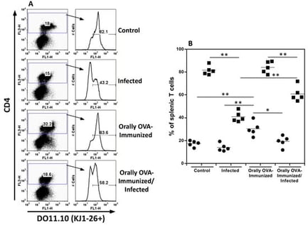 Quantitation of splenic DO11.10 transgenic CD4+ T cells bearing the TCR clonotype, identified by the KJ1-26 mAb. (A) shows dot plots and histograms from spleen cells from uninfected control, infected, OVA-immunized, and OVA-immunized/infected transgenic mice obtained on day 25th of infection. Representative dot plots and histograms from one animal per group are depicted. (B) shows the frequencies of splenic CD4+ (closed circles) and CD4+KJ1-26+ T cells (closed squares) from individual animals in different groups. Experiments were repeated three times, on other occasions, with similar results. The Mann-Whitney test was used to compare two distinct groups of mice (* p < 0.05, ** p < 0.01).