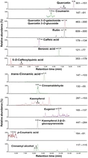 Ultra-performance liquid chromatography-tandem mass spectrometry (UPLC-MS/MS) chromatogram of various bioactive compounds in cinnamon leaves detected by multiple reaction monitoring (MRM) mode.