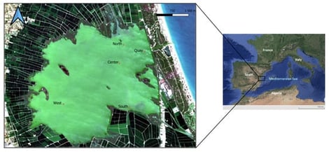 Sampling points in the Albufera lagoon between 2016 and 2025. Sentinel-2B MSI L2A image from 23 July 2024.