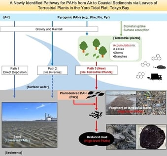 Location of the sampling site in the Yoro tidal flat, Ichihara, Chiba Prefecture, Japan. (A) Map of Japan showing the Kanto region, including the sampling area (red box). (B) Location of the sampling site within Tokyo Bay, with a red square indicating the Yoro tidal flat. (C) Detailed map of the Yoro tidal flat, with individual sampling sites indicated by red points (a–d): a, location where reduced mud was collected (29 September 2023); b, location where terrestrial plant I was collected (27 September 2023); c, location where terrestrial plant II was collected (29 September 2023); d, location where terrestrial plant III was collected (17 October 2024).