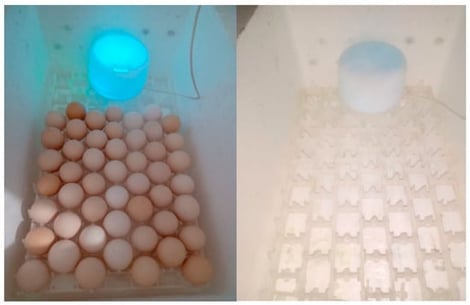 Adapted nebulization system used for the test. Source: personal archive.