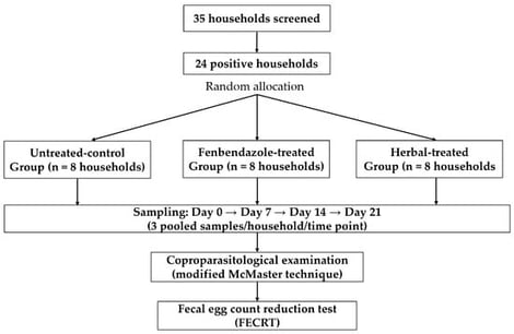Experimental protocol and sampling timeline of the trial.
