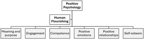 Main Dimensions of Human Flourishing in Adults. Note: Figure constructed by the authors on the basis of the conceptual frameworks described in Diener et al. [8] and Hone et al. [12]. Figure 1 presents an author-developed conceptual synthesis of the main dimensions of flourishing, informed by the cited frameworks. The figure is intended as an organizing heuristic for this narrative review rather than an exhaustive taxonomy.