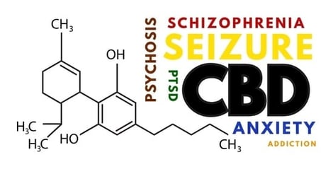 The three categories of psychoactive substances, their effects, and botanical representatives, compared to what would be a “normal” activity of the mind (diagram taken from the lectures by Prof. Elisaldo Carlini). Adapted with permission from Ref. [10]. Copyright 2025 Eliana Rodrigues.