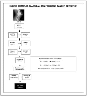 The model processes input X-ray images (224 × 224 × 3) through three convolutional and pooling layers, followed by flattening. A parameterized quantum circuit (PQC) layer integrates quantum operations with classical features, after which a dense layer (1024 neurons) and dropout (r = 0.05) lead to the final Softmax output for binary classification (cancerous vs. non-cancerous).