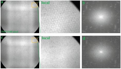 Experimental data and the results obtained using the proposed method for periodic noise removal. Here, (a–d) have the same dimensions (2560 × 2160 pixels), with a pixel size of 1.7 
  
    μ
    m
  
, and the dimensions of 2560 × 2160 pixels correspond to a physical size of 4352 
  
    μ
    m
  
 × 3672 
  
    μ
    m
  
. For supplementary data, please refer to Appendix A. (a) Original experimental data, where a clear honeycomb structure can be observed. (b) Image obtained by applying a Fourier transform to (a) followed by magnitude conversion (detailed calculations are provided in Section 2, Materials and Methods). (c) Result of applying the proposed method to (a), where the honeycomb structure is largely suppressed; the corresponding one-dimensional data are provided in Appendix A. (d) Magnitude image obtained from the Fourier transform of (c), using the same procedure as in (b).