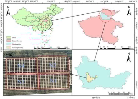Study area and experimental design.