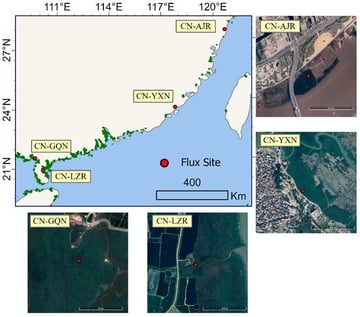 Study area and EC tower locations. The suffix “N” indicates natural mangrove sites, and “R” indicates restored mangrove sites. From north to south, the sites are: Restored mangroves in Aojiang County, Wenzhou City, Zhejiang Province (CN-AJR); Natural mangroves in Yunxiao County, Zhangzhou City, Fujian Province (CN-YXN); Natural mangroves in Gaoqiao Town, Lianjiang City, Guangdong Province (CN-GQN); and Restored mangroves in Leizhou City, Guangdong Province (CN-LZR).