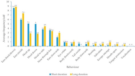 Average frequencies per calf of behaviours observed in video footage of rodeo calves held in the chute prior to calf-roping, in both short-duration (SD: n = 17) and long-duration (LD: n = 14) video clips from two rodeo events in Australia. The numbers of behaviours observed between short- and long-duration videos were highly correlated (Spearman rank correlation 0.875, p < 0.001) and median frequencies were not significantly different (Mann–Whitney U test p = 0.812).