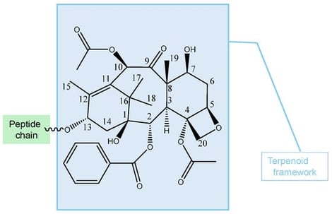 Classical taxane tetracyclic framework.