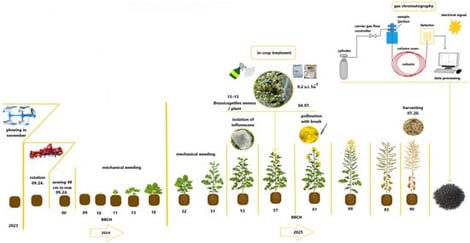 The methodology of the experimental settings.