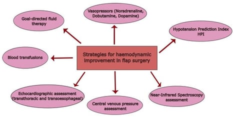 A schematic overview of the strategies for perioperative haemodynamic management in flap surgery discussed throughout this article.