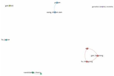 Author co-citation network showing thematic clusters in AI and sustainable maritime research, where node colours denote distinct co-citation clusters and node size reflects citation frequency.