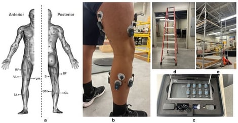 Experimental setup and EMG instrumentation: (a) monitored muscles of the right leg (anterior and posterior views), (b) electrode placement on the right leg, (c) BTS FREEEMG 1000 wireless EMG system, (d) A-shaped ladder, and (e) fixed vertical ladder in the laboratory.