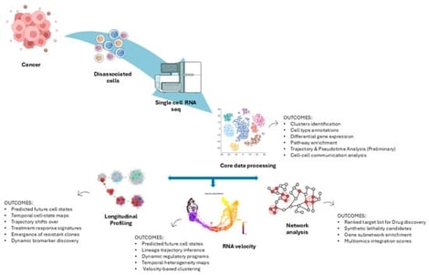 Overview of scRNA-seq analysis pipeline for target discovery. The workflow begins with preprocessing (QC, normalization, dimensionality reduction), followed by the core bioinformatic analysis (clustering, cell type annotation, differential gene expression, functional analysis). Advanced modules such as trajectory inference, RNA velocity, and ligand–receptor interaction mapping provide deeper biological insights. Target nomination occurs after differential expression and pathway/network prioritization, integrating multi-omics evidence to identify druggable candidates.