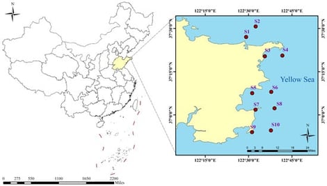 Sampling sites along the Yellow Sea coast of Shandong, China.