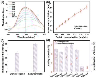 Synthesis of Lac@ZIF complexes with different ligands. (a) Absorbance changes in BSA at different concentrations. (b) Protein standard curve. (c) Embedding efficiency of enzyme premixed with precursor. (d) Immobilization efficiency and loading capacity.