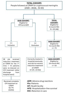 Flowchart of sub-cohort analysis. HF: Health facility, HFS: Hospitalization-free survival, CM: Cryptococcal meningitis, CRAM: Centro de Referência Alto-Maé, Pts: patients.