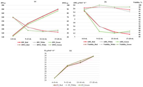 Effect of LED light color (red, white, and green) on (a) body weight (BW) and body weight gain (BWG); (b) average daily gain (ADG) and viability (%); (c) feed intake of laying Japanese quails from 4 to 20 weeks of age. Values are expressed as means for each interval.