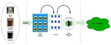 Flow diagram of the experimental process.