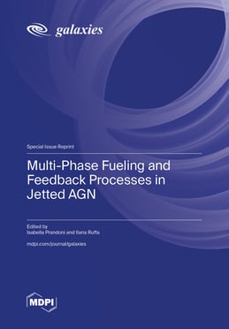 Multi-Phase Fueling and Feedback Processes in Jetted AGN