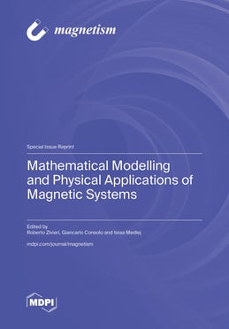 Mathematical Modelling and Physical Applications of Magnetic Systems