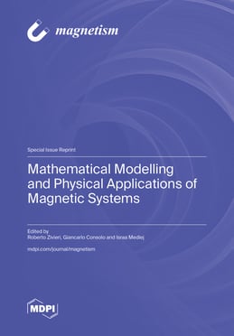 Mathematical Modelling and Physical Applications of Magnetic Systems
