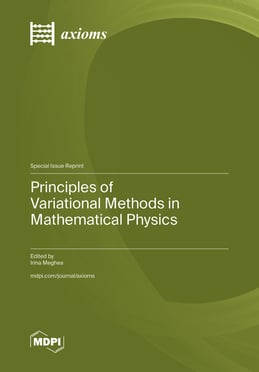 Principles of Variational Methods in Mathematical Physics