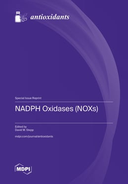 NADPH Oxidases (NOXs)