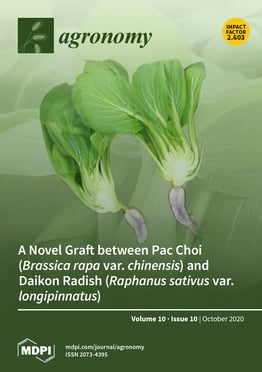 Volume 10, Issue 10