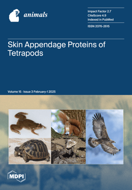 Volume 15, Issue 3