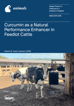 Volume 16, Issue 2