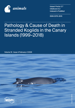 Volume 16, Issue 4