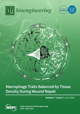 Volume 7, Issue 2