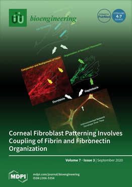 Volume 7, Issue 3
