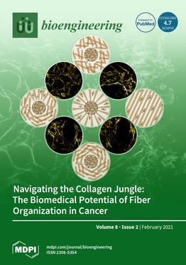 Volume 8, Issue 2