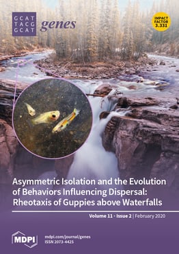 Volume 11, Issue 2