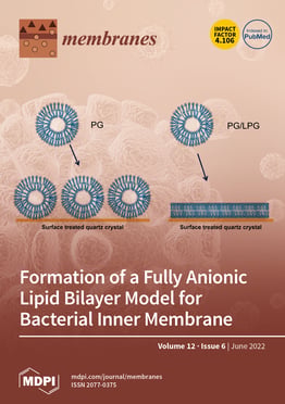 Volume 12, Issue 6
