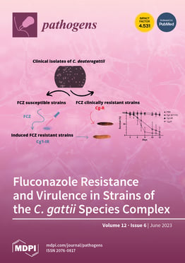 Volume 12, Issue 6